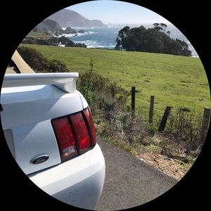 Meet your Posher, Brandon